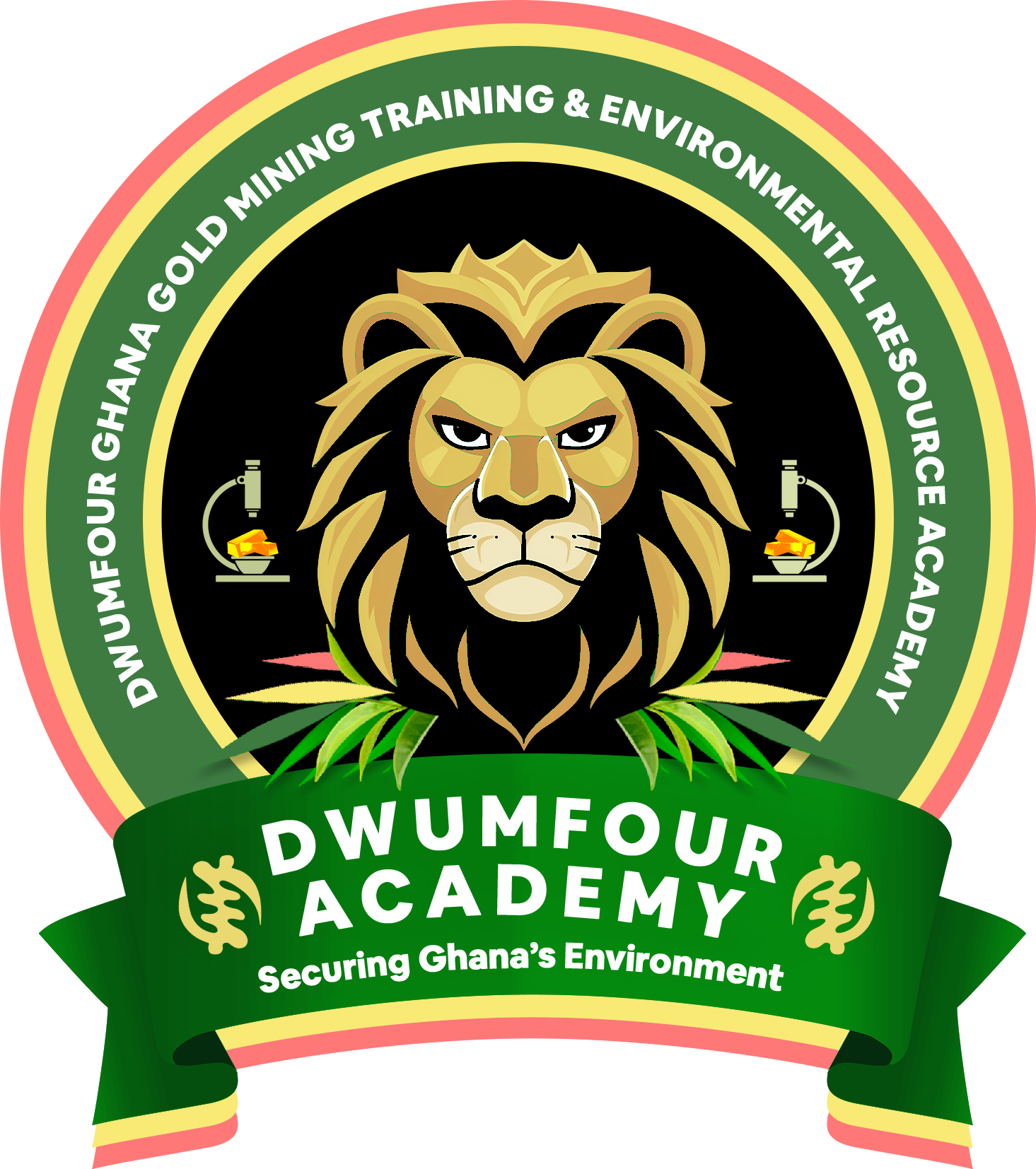 Dwumfour Academy Logo
